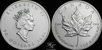 Canada 50 dollars 1994 1 oz Platinum 50 dollars maple leaf 1994 Canada st 2100,00 EUR  zzgl. 35,00 EUR Versand