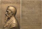 Personenmedaillen Bronzeplakette Schützenberger, Paul 1829-1897 -