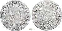 Germany Groschen Duchy of Prussia, Albert I (1525-1568), -