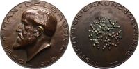 Chemie Bronzegussmedaille Delbrück, Max *1850 Bergen auf Rügen, +1919 Berlin, deutscher Chemiker. -