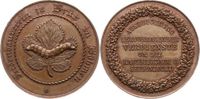 Tschechien-Most, Stadt (früher Brüx) Bronzemedaille Bild