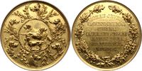 Jever-Stadt Vergoldete Bronzemedaille