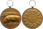 Tiere Bronzemedaille Schweine -