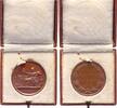 Bienen Bronzemedaille Deutschland -