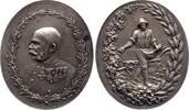 Haus Habsburg Medaille Franz Joseph I. 1848-1916. Mattiert. Kl. Fleck, vorzüglich +
