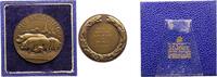 Tiere Bronzemedaille Schweine -