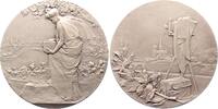 Fotografie Versilberte Bronzemedaille Allgemein -