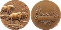 Kunstmedaillen Bronzemedaille Dubois, Henri -