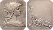 Kunstmedaillen Versilberte Bronzeplakette Dubois, Henri -