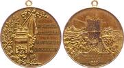 Haus Habsburg vergoldete Bronzemedaille 1899 Franz Joseph I. 1848-1916. Kl. Kratzer, vorzüglich