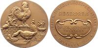 Erlangen, Stadt Bronzemedaille -
