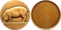 Tiere Bronzemedaille Schweine -