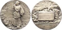Kunstmedaillen Versilberte Bronzemedaille Dubois, Henri -