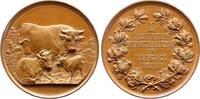 Sachsen-Dresden, Stadt Bronzemedaille -
