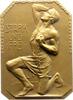 Kunstmedaillen Bronzeplakette Hujer, Ludwig -