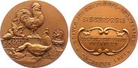 Erlangen, Stadt Bronzemedaille -
