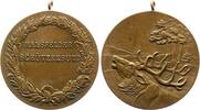 Mansfeld-Stadt Bronzemedaille -
