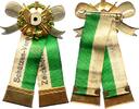 Bayern-Zeickhorn, Stadt -