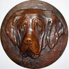 Tiere Hunde -