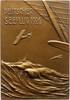 Luft- und Raumfahrt Einseitige Bronzeplakette -