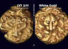 ANCIENT COINS - WHITE GOLD - REVEALING THE WORLD'S EARLIEST COINS