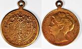 Netherlands medal/penning Netherlands Medal 1923 Queen Wilhelmina wienecke -