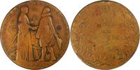 Netherlands Medal Medal for the Earthquake Disaster in Japan - by J.J. van Goor -