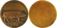 Belgium Historical medal Livestock Breeding – Pig -