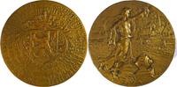 Belgium Historical medal Provincial Exhibition for the Promotion of Electricity, Ghent -