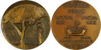 Netherlands Historical medal 100 Years of the Winkler Prins Encyclopedia – Elsevier / Cephas Stauthamer -