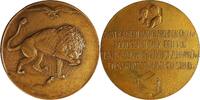 Netherlands Medal WOII - Lion in Net & Poem by Jan Campert -