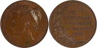 Netherlands Medal Inauguration Queen Wilhelmina - H. Baars / Menger -