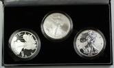 Bullion American Silver Eagle 20th Anniversary Coin Set BU, Proof, Reverse Proof -
