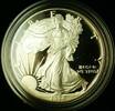 Bullion 1994-P Proof American Silver Eagle S$1 1 Oz Troy .999 Fine With COA & OGP -
