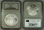 Bullion $1 Coin American Silver Eagle ASE Dollar NGC MS-69 Nearly Perfect GEM -