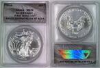 USA $1 Eagle American Silver Coin ANACS MS 70 First Strike (5) A -