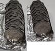 Weltmünzen 5 Cent Seychelles Aluminum FAO Coins - Roll of 25 BU Coins -