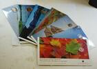 Kanada $2 Coin Canada Official First Day Coins Complete Set-1,5,10,25,50 Cents-$1 -