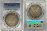 USA Dollar 1881-S Morgan Silver Toned PCGS MS 64 (21) D -