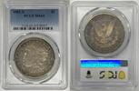 USA Dollar 1881-S Morgan Silver Toned PCGS MS 65 (40) D -