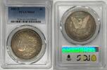 USA Dollar 1881-S Morgan Silver Toned PCGS MS 65 (40) D -