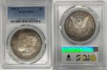 USA Dollar 1881-S Morgan Silver Toned PCGS MS 65 (40) E -