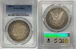 USA Dollar 1881-S Morgan Silver Toned PCGS MS 65 (40) G -