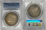 USA Dollar 1881-S Morgan Silver Toned PCGS MS 65 (40) J -