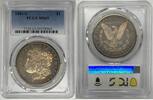 USA Dollar 1881-S Morgan Silver Toned PCGS MS 65 (40) K -