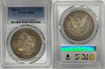 USA Dollar 1881-S Morgan Silver Toned PCGS MS 66 (40) D -