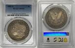 USA Dollar 1881-S Morgan Silver Toned PCGS MS 66 (40) F -