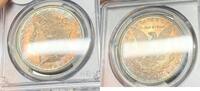 USA Dollar 1898-O Morgan Silver Toned PCGS MS 64 (8) E -