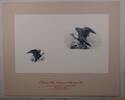 Briefmarken F MSNA 1990 Two eagle vignettes in blue -