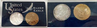 USA 2000 American Silver Eagle (ASE) Pair One w/Gold Layered in Plastic Case -